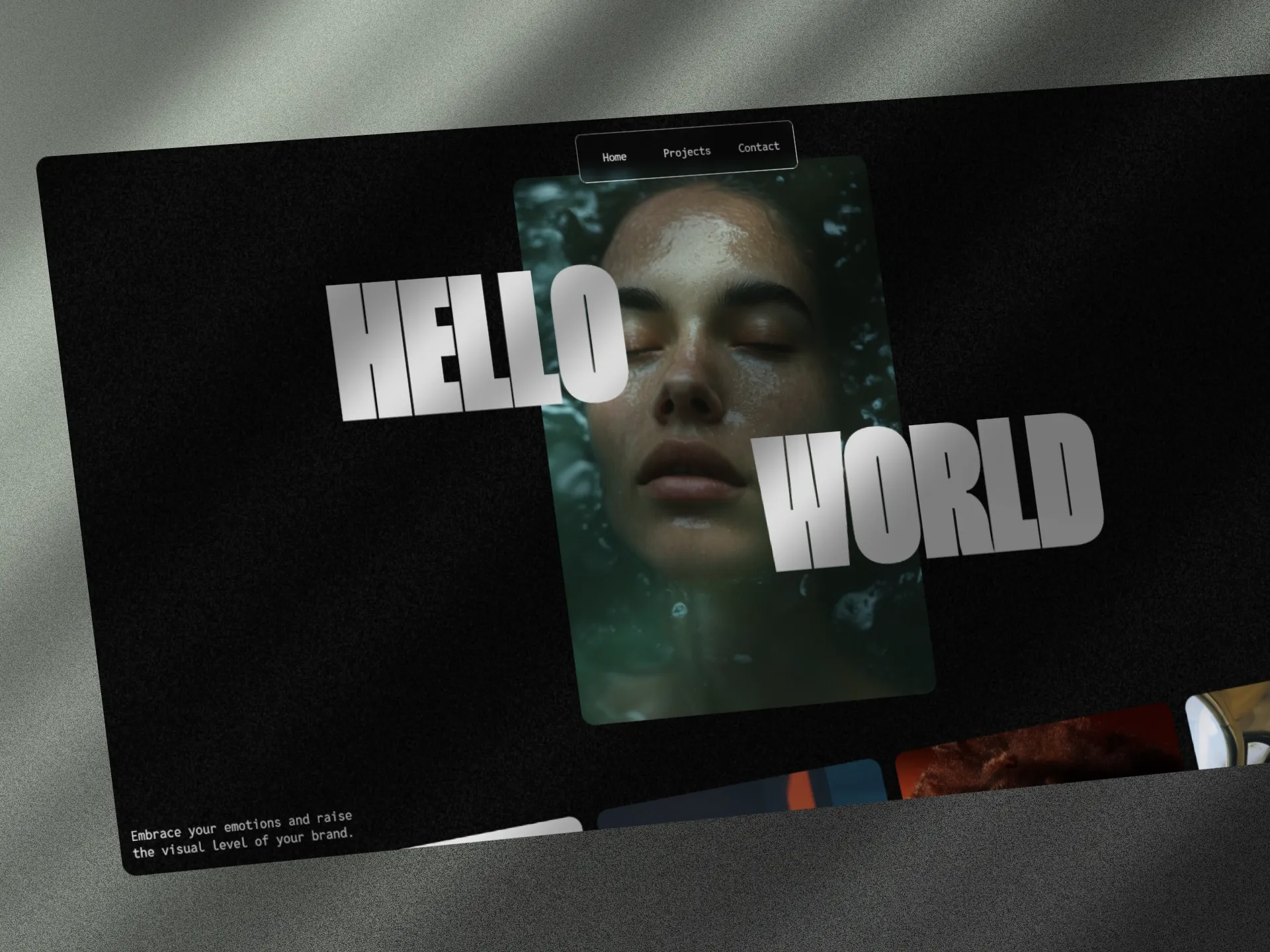 Descripción de la imagen